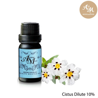 Aroma&amp;More Cistus (Rock Rose) diluted 10% with Jojoba Oil Spain 100ML