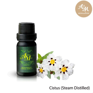 Aroma&amp;More Cistus (Rock Rose) Essential Oil 100% Spain / น้ำมันหอมระเหย ซีสตัส 100% สเปน 100ML