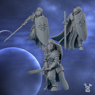 Silver Moon Daughters - Knights of the Crescent -High quality and detailed 3d print miniature war game - DakkaDakkaStore