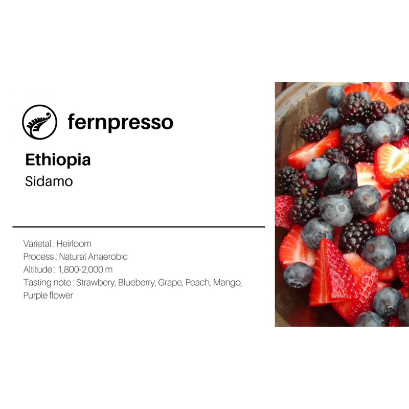 ethiopia-sidamo-16-g