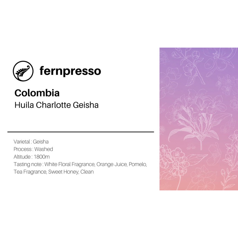 colombia-huila-charlotte-geisha-16g