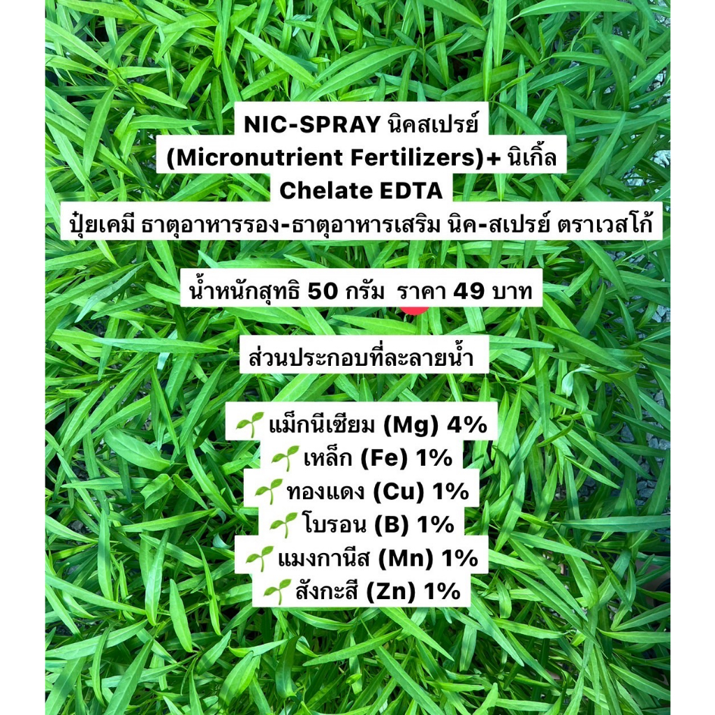 นิคสเปรย์-nic-spray-micronutrient-fertilizers-นิเกิ้ล-chelate-edta-ตราเวสโก้-ขนาด50กรัม