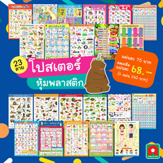 Aksara for kids โปสเตอร์ หุ้มพลาสติก สัตว์ ผัก ผลไม้ ก.ไก่ ABC สี ตัวเลข ฯลฯ คละ