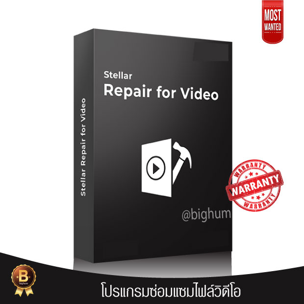 stellar-repair-for-video-6-5-windows