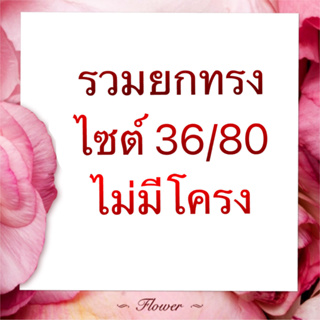 รวมยกทรงไซต์ 36/80 แบบไม่มีโครง