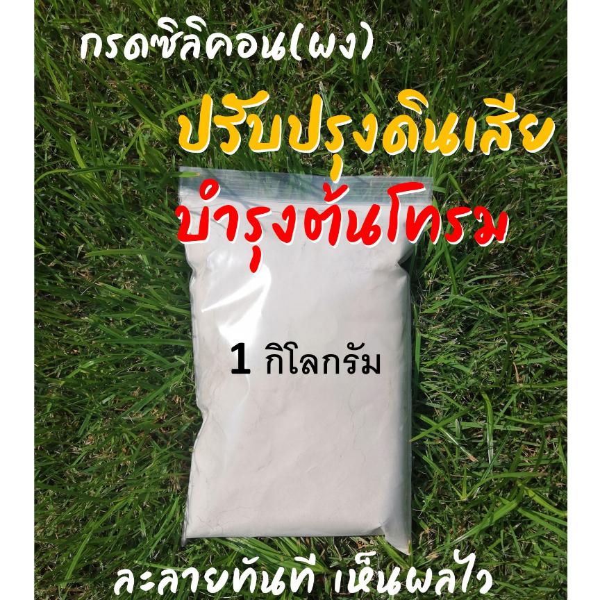 ปุ๋ยกรดซิลิคอน-โกลด์-ผง-ตราม้าเงา-แบ่งขาย1-กิโล-ปุ๋ยธาตุรองธาตุเสริม-สารปรับสภาพดิน-เสริมธาตุอาหารในดิน-h4sio4