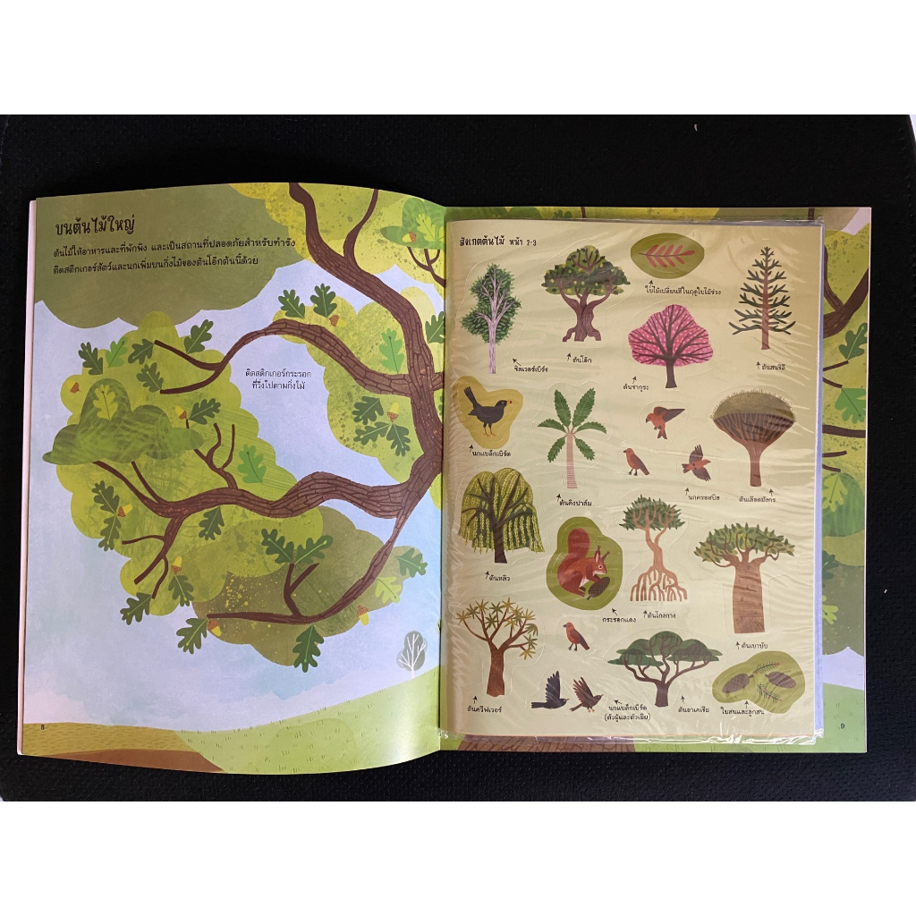 aksara-for-kids-หนังสือเด็ก-สนุก-กับการติด-สติกเกอร์-ต้นไม้-มีคุณค่า