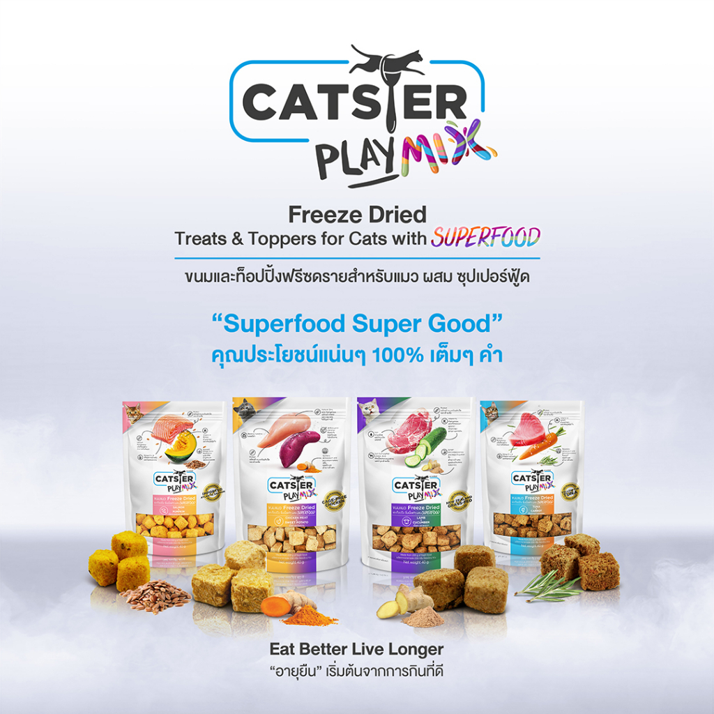 catster-ขนมฟรีสดรายแมว-แคทสเตอร์