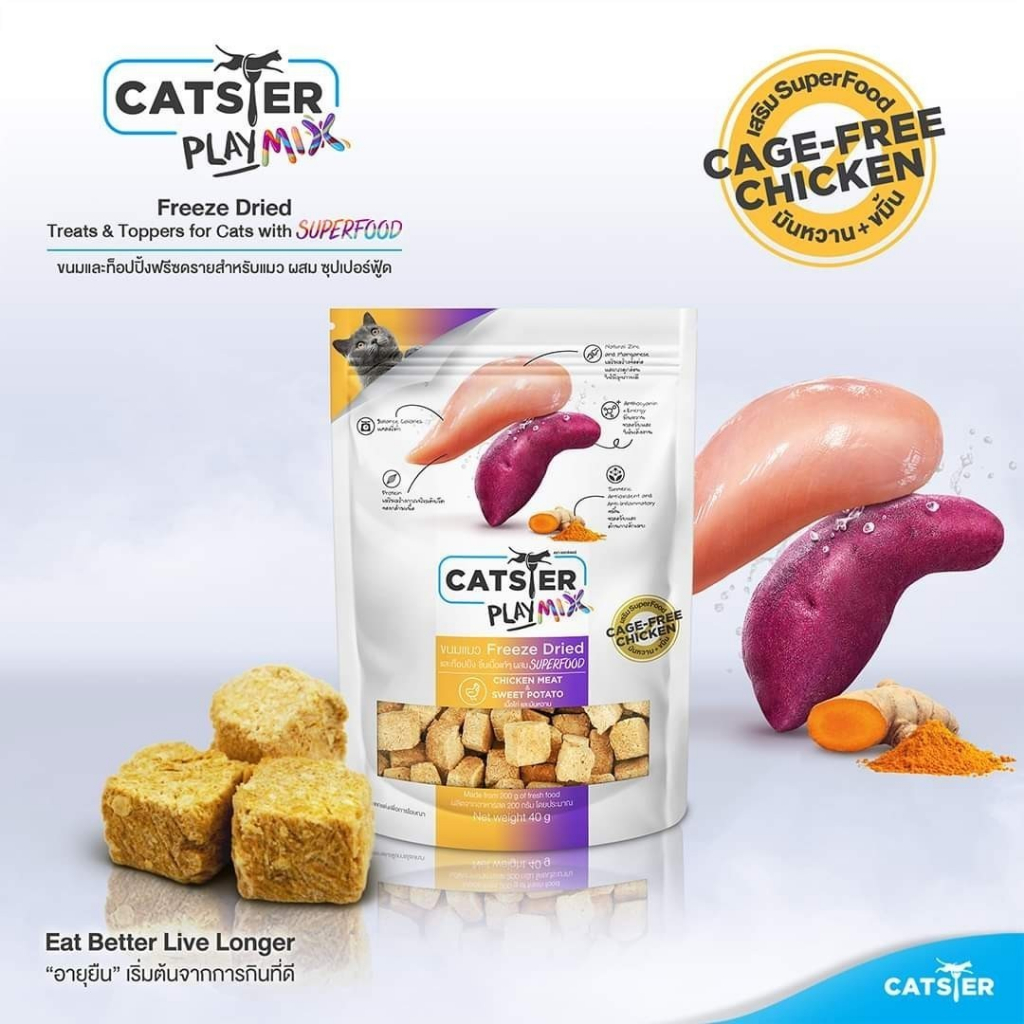 catster-ขนมฟรีสดรายแมว-แคทสเตอร์