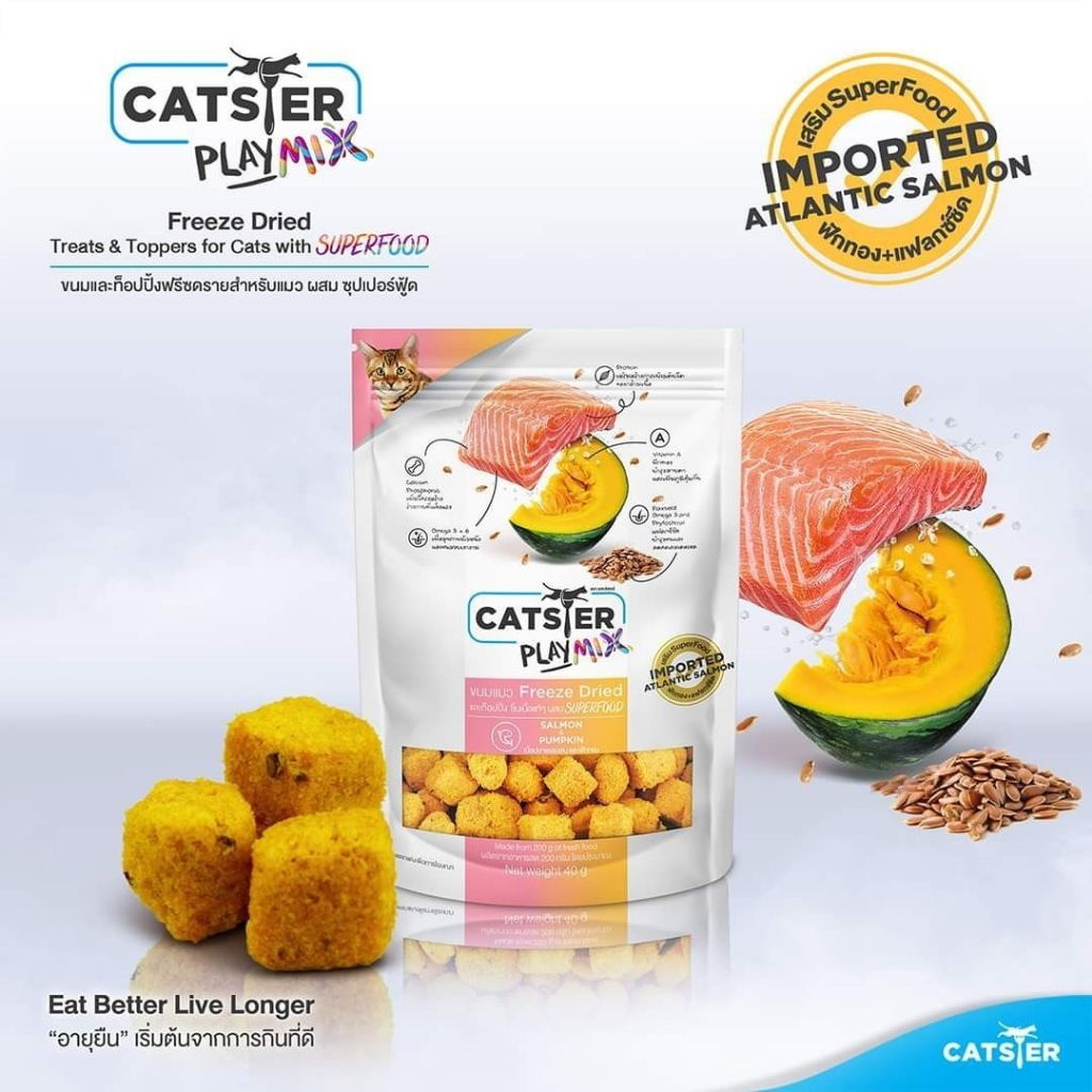 catster-ขนมฟรีสดรายแมว-แคทสเตอร์