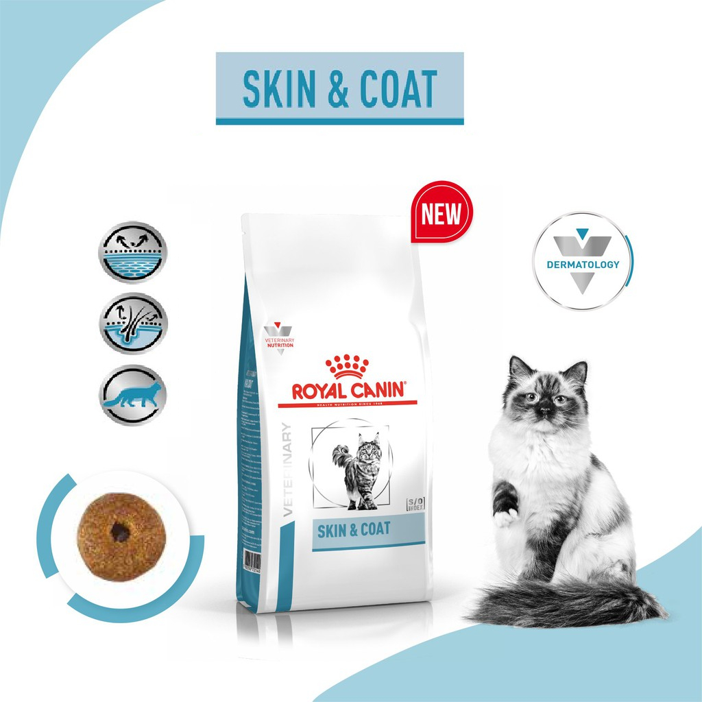 ส่งฟรี-royal-canin-skin-amp-coat-3-5-kg-อาหารบำรุงขนและชั้นผิวหนังสำหรับแมวโตขขนาด-3-5-กิโลกรัม