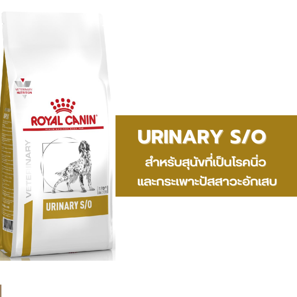 ส่งฟรี-royal-canin-urinary-s-o-13-kg-อาหารสุนัข-โรคนิ่ว-ชนิดสตรูไวท์-รอยัลคานิน-13-kg