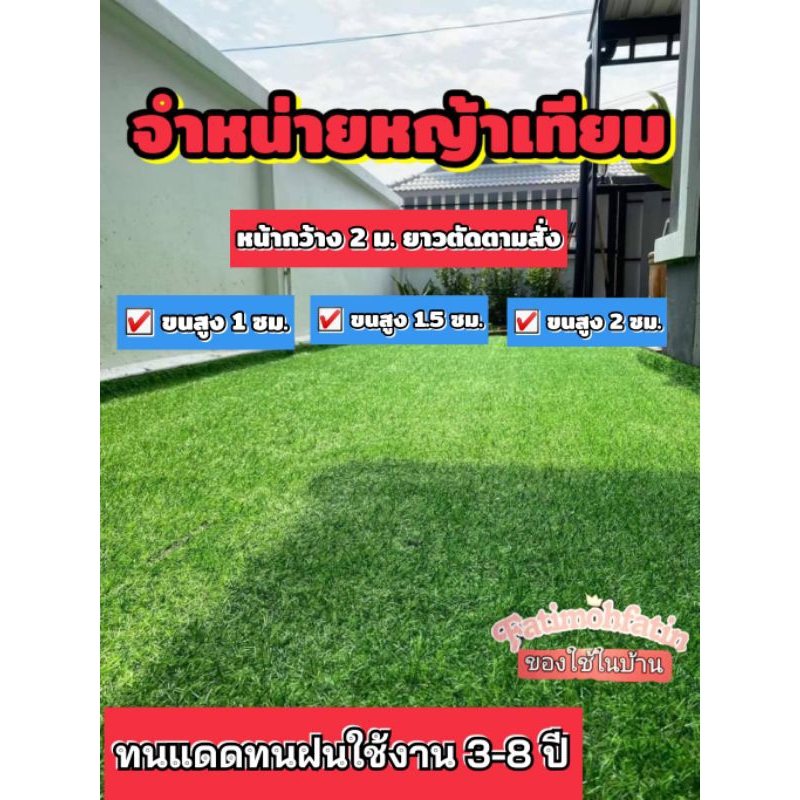 พร้อมส่งหญ้าเทียม3ขนาด-จัดสวนปูพื้น-ปูร้านอาหาร-ปูระเบียงบ้านหน้าบ้าน-สนามกีฬา-งานอีเว้นท์ต่างๆ