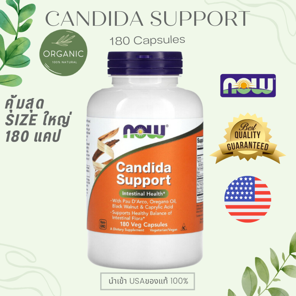 [ล๊อตใหม่] Candida Support 90/180 capsules ต้านเชื้อแคนดิดา กำจัดเชื้อ ...