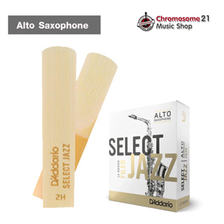 ลิ้นแซก Alto Rico รุ่น Select Jazz Filed Daddario แพค 10 ลิ้น ขนาด2H