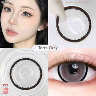 บิ๊กอาย Terra สีเทาและสีน้ำตาล เลนส์ไฮโดรเจล ขนาด14.8