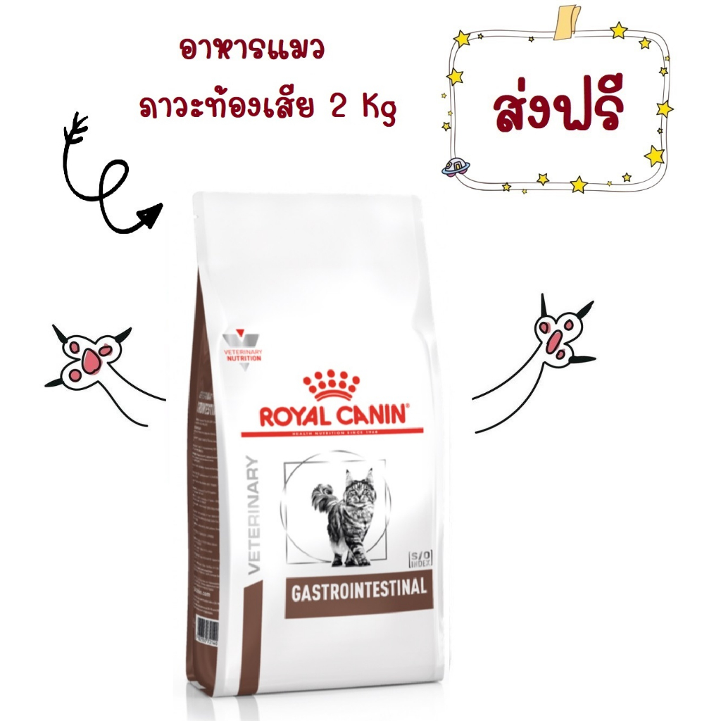 ส่งฟรี-royal-canin-gastro-intestinal-2-kg-อาหารแมวท้องเสีย-2-kg-โรยัลคานิน
