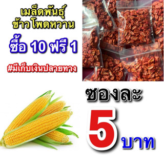 เมล็ดพันธุ์ข้าวโพดหวาน 10 แถม1