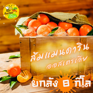 🍊ส้มแมนดาริน นำเข้าออสเตรเลีย 8 กิโล(ยกลัง)เนื้อสัมผัสปราณีต นุ่มและชุ่มฉ่ำ รสหวานและรสเปรี้ยวผสานอย่างลงตัว