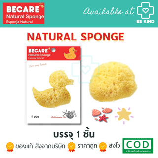 Becare ฟองน้ำ ลูกเจี๊ยบ ลูกเจี้ยบ ฟองน้ำลูกเจี๊ยบ Natural Sponge ฟองน้ำอนามัย ฟองน้ำจากธรรมชาติ