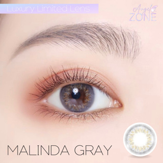 คอนแทคเลนส์ Angel Zone รุ่น Malinda Gray Collection  Limted Edition 14.2