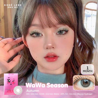 Sissè lens รุ่น WaWa Autumn 🌸 คอนแทคเลนส์เกาหลีรายเดือน