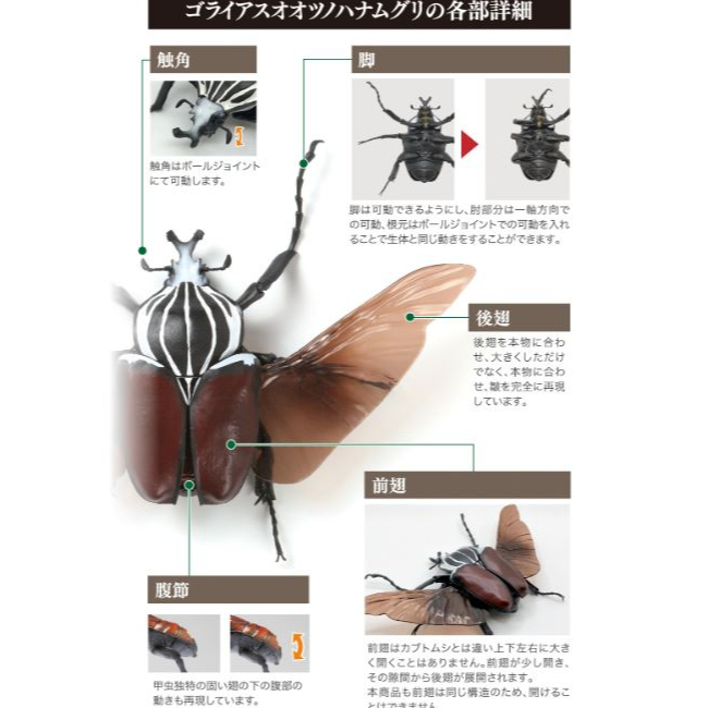 กาชาปองด้วง-โมเดล-gashapon-bandai-kuwagata-hercules-beetle-action-vol-03-จุดขยับ-โมเดลสัตว์-ลิขสิทธิ์แท้