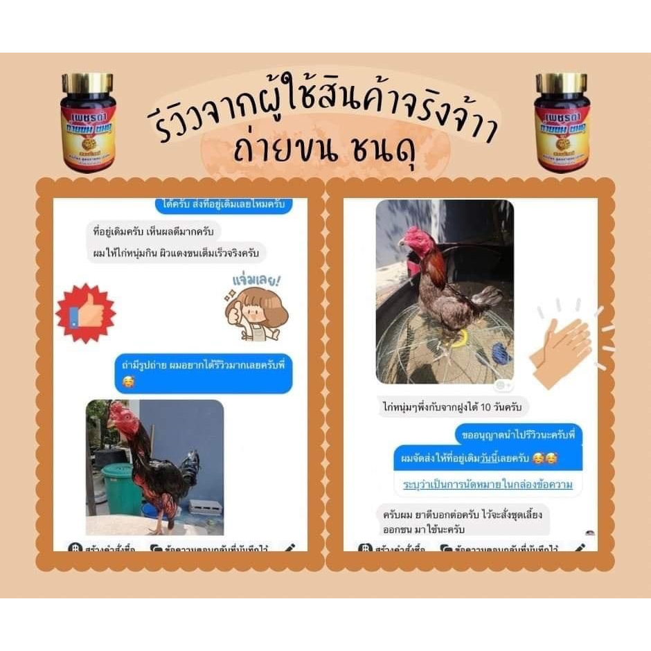 เพชรดำ-สตองโกลด์-ถ่ายขน-ชนดุ-ผลิตภัณฑ์ดูแลขนไก่