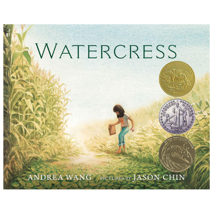 watercress-andrea-wang-author-jason-chin-illustrator-new-england-book-award-winner