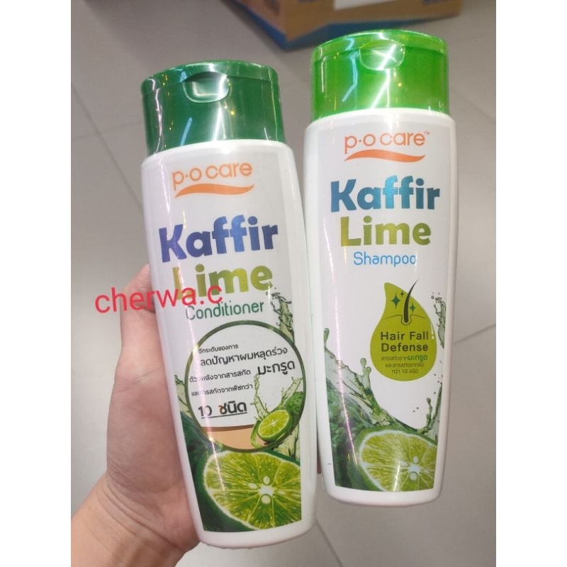 ของแท้-po-care-kaffir-lime-shampoo-pocare-kaffir-lime-conditioner-175-ml-p-o