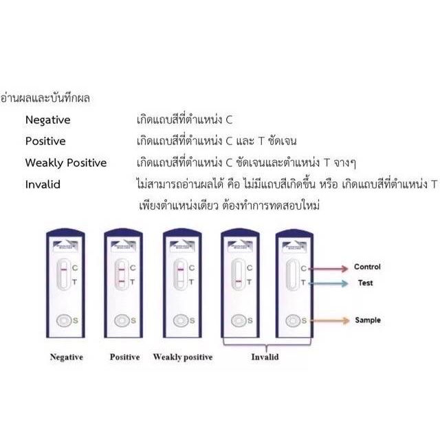 ชุดคัดกรองมะเร็งลำไส้ใหญ่ด้วยตัวเอง Fecal Occult Blood Test | Shopee ...