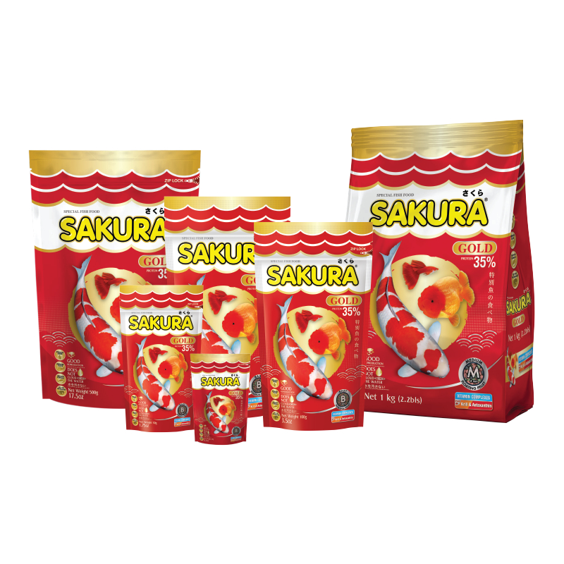 sakura-gold-1kg-อาหารปลาสวยงาม-สูตรเร่งสี-เร่งโต-ใช้แล้วน้ำไม่ขุ่น