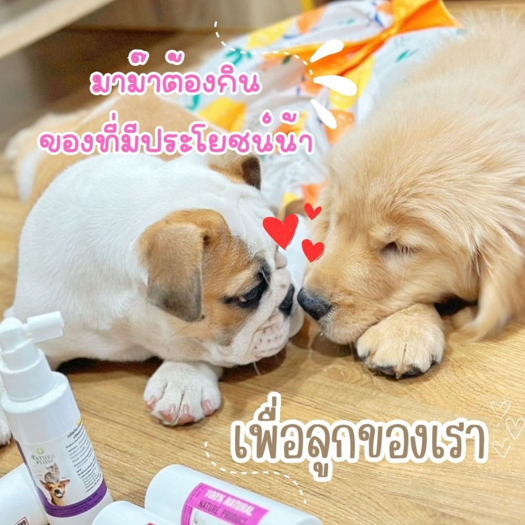 ผลิตภัณฑ์-บำรุงครรภ์และให้นมลูก-nature-plus-สำหรับแม่แมว-แม่หมา