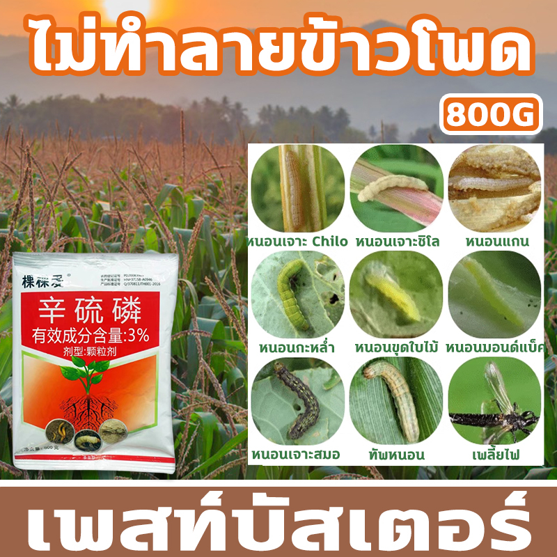 ไม่มีศัตรูพืชอีกแล้ว-bq-ยาฆ่าแมลง-ยากำจัดแมลง-ยาฆ่าหนอน-800g-กำจัดศัตรูพืชในไร่ข้าวโพด-ไม่ทำลายข้าวโพด-สารกำจัดแมลง