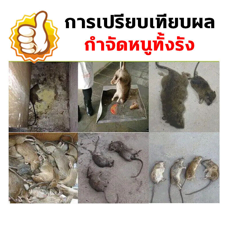 เบื่อหนู-เหยื่อกำจัดหนู-สูตรใหม่-หาซากง่าย-ฆ่าหนู-เหยื่อกำจัดหนู-ไม่ต้องผสมอาหาร-ตายชัวร์