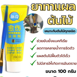 ยาทาแผลต้นไม้ มีพู่กัน 100กรัม ใช้ทาแผลต้นไม้ทุกชนิด ป้องกันการติดเชื้อรา ผสานแผลได้เร็วขึ้นใช้ได้กับต้นไม้ทุกชนิด