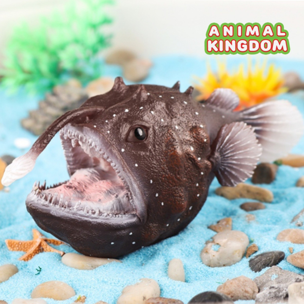 animal-kingdom-โมเดลสัตว์-ปลาฟุตบอลแปซิฟิก-ขนาด-13-00-cm-จากสงขลา