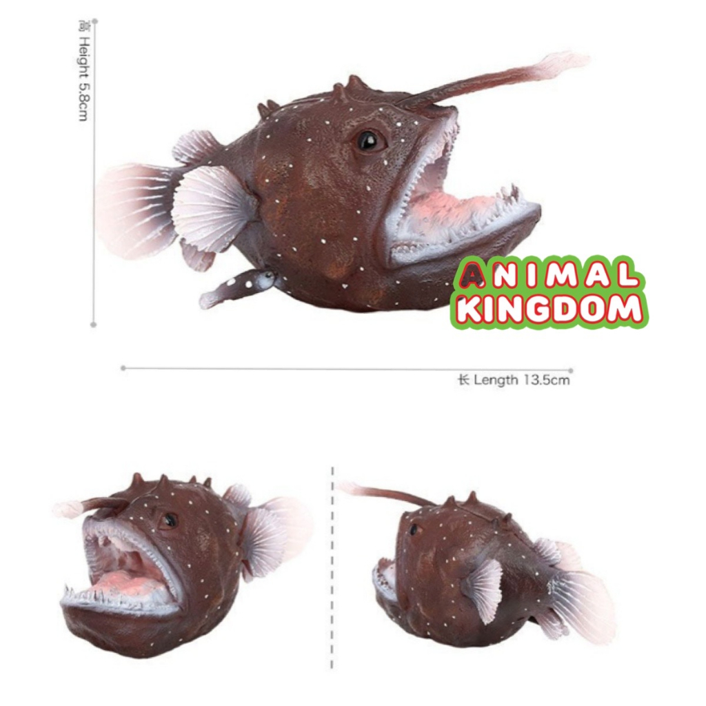 animal-kingdom-โมเดลสัตว์-ปลาฟุตบอลแปซิฟิก-ขนาด-13-00-cm-จากสงขลา