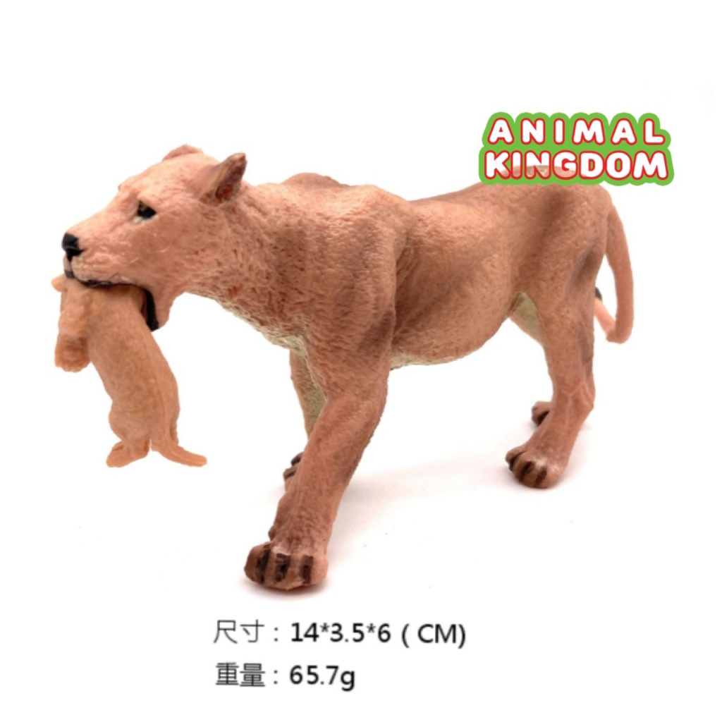 animal-kingdom-โมเดลสัตว์-สิงโต-พ่อแม่ลูก-ชุด-4-ตัว-จากหาดใหญ่