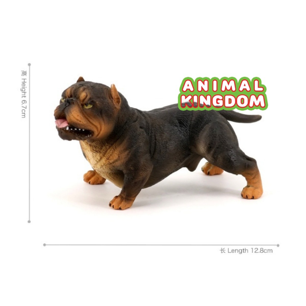 animal-kingdom-โมเดลสัตว์-สุนัข-หมาพิทบูล-ดำสัม-ขนาด-13-60-cm-จากสงขลา