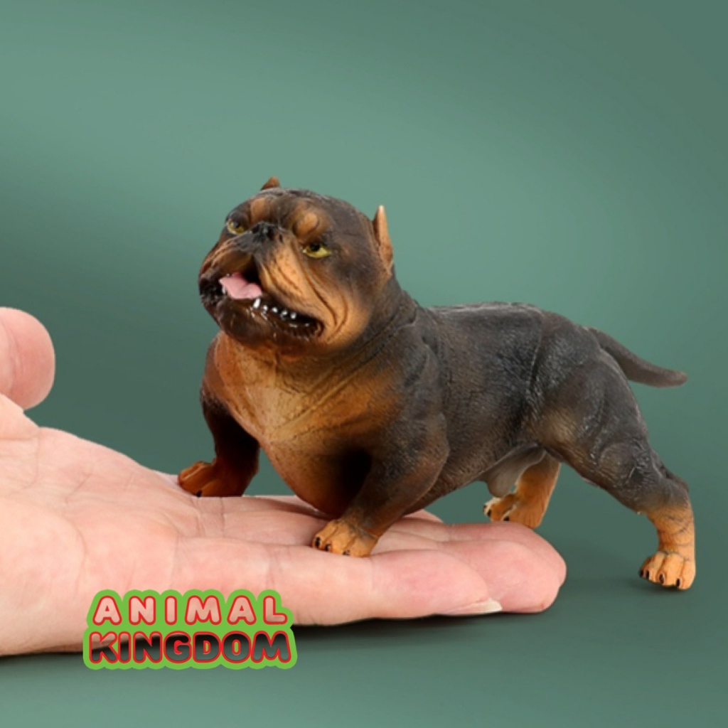 animal-kingdom-โมเดลสัตว์-สุนัข-หมาพิทบูล-ดำสัม-ขนาด-13-60-cm-จากสงขลา