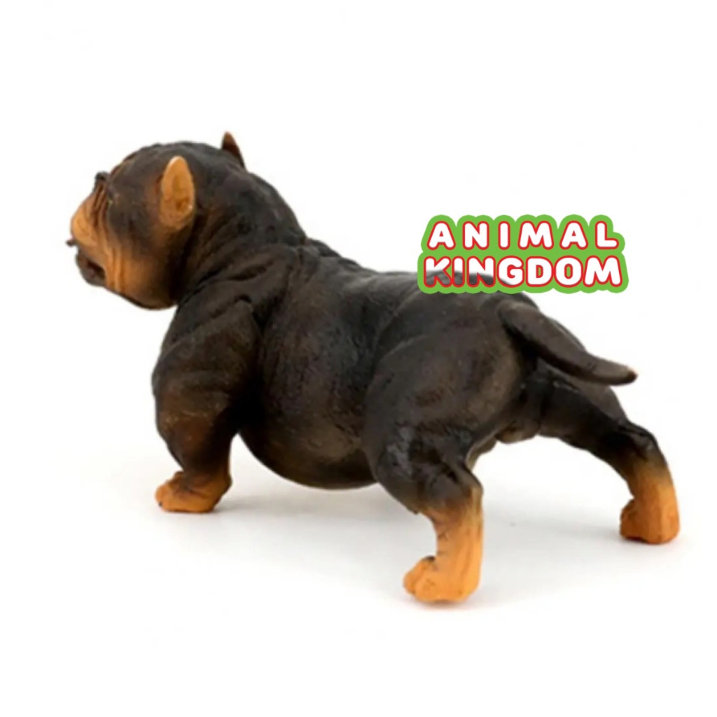 animal-kingdom-โมเดลสัตว์-สุนัข-หมาพิทบูล-ดำสัม-ขนาด-13-60-cm-จากสงขลา