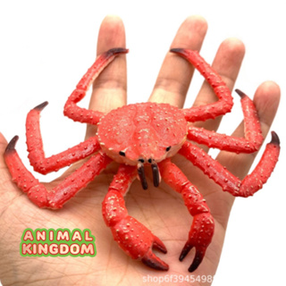 Animal Kingdom - โมเดลสัตว์ ปู อลาสก้า แดง ขนาด 11.00 CM (จากสงขลา)