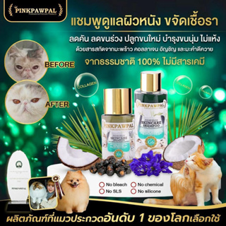 ภาพหน้าปกสินค้าPinkpawpal แชมพูขจัดคราบมัน เชื้อรา ลดคัน ขนนุ่ม ไม่มัน SKINCARE SHAMPOO ANTI-FUNGAL ที่เกี่ยวข้อง