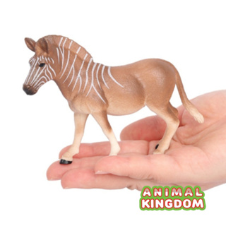 Animal Kingdom - โมเดลสัตว์ ม้าลาย ควางก้า ขนาด 12.50 CM (จากสงขลา)