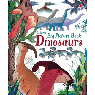 Usborne books Big picture book dinosaurs 4Y+ หนังสือภาพ ไดโนเสาร์  คำศัพท์ภาษาอังกฤษ สำหรับเด็ก 4 ปีขึ้นไป