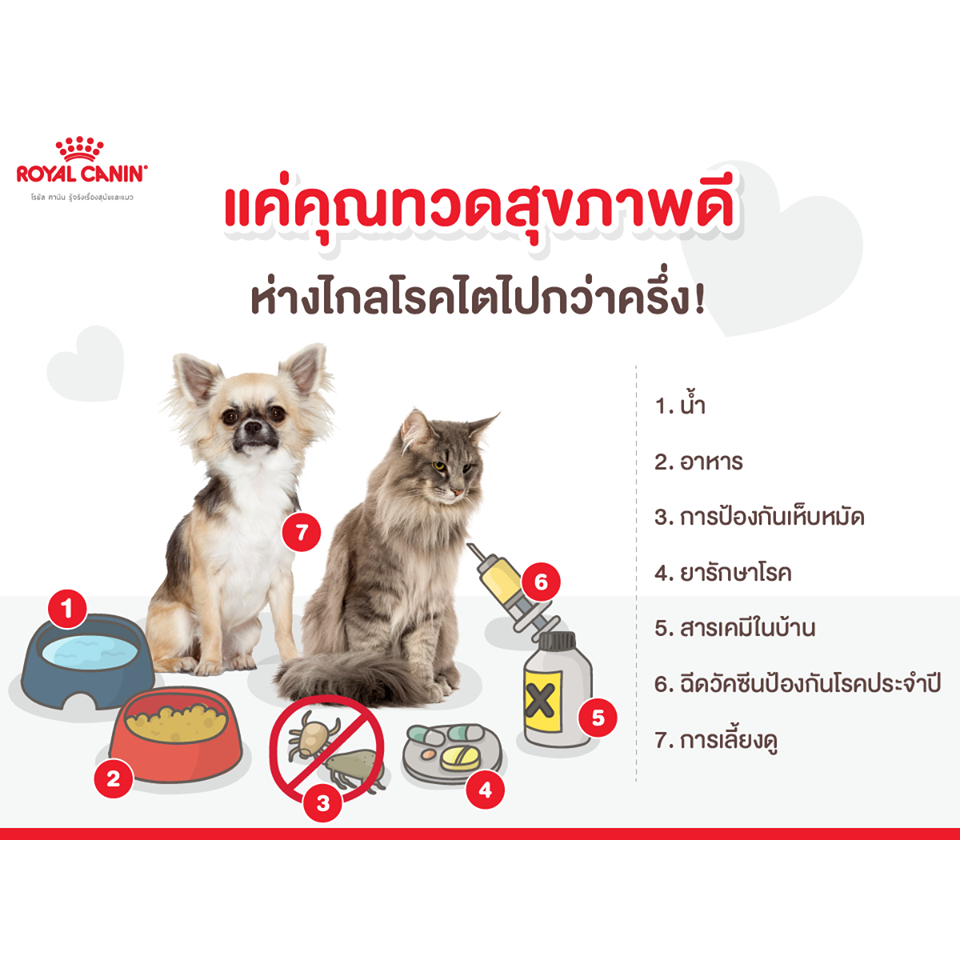 ส่งฟรี-royal-canin-vet-early-renal-1-5-กก-อาหารแมวโรคไต-ระยะเริ่มต้นหรือมีความเสี่ยงที่จะเป็น-1-5-กก