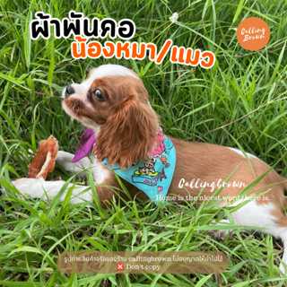 callingbrown [🐶พร้อมส่ง🐶] ผ้าพันคอ สัตว์เลี้ยง หมา แมว ผ้าผูกคอ