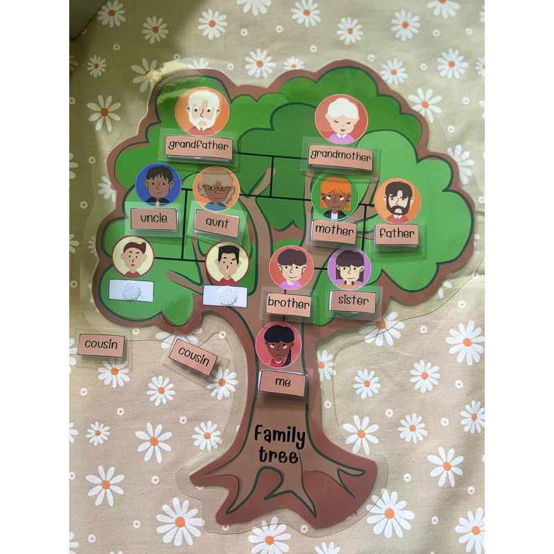 family-tree-สื่อภาษาอังกฤษต้นไม้ครอบครัว