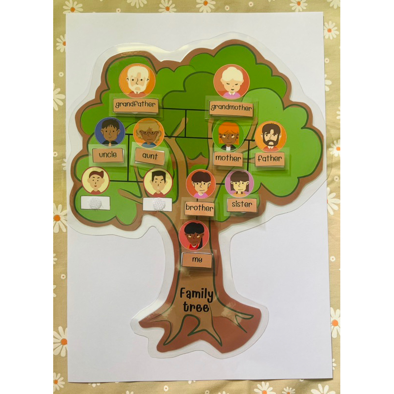 family-tree-สื่อภาษาอังกฤษต้นไม้ครอบครัว